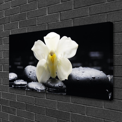 Canvas doek foto Flower orchideeinstallatie