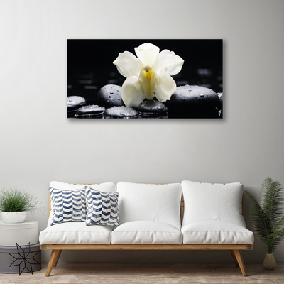 Canvas doek foto Flower orchideeinstallatie