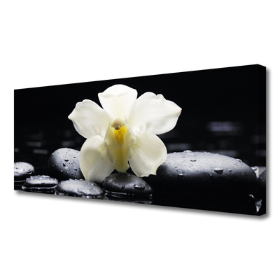 Canvas doek foto Flower orchideeinstallatie