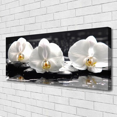 Canvas doek foto Witte orchidee bloem