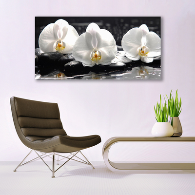 Canvas doek foto Witte orchidee bloem