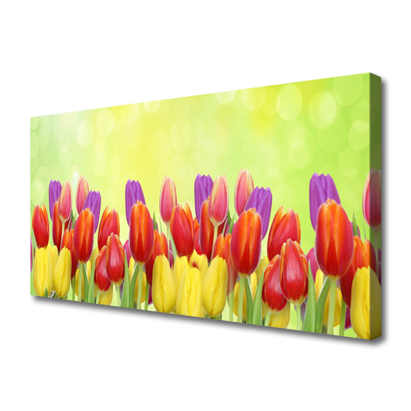 Canvas doek foto Tulpen bloemen plant