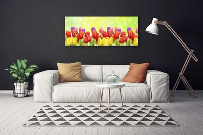 Canvas doek foto Tulpen bloemen plant