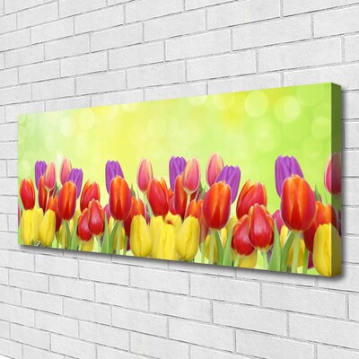 Canvas doek foto Tulpen bloemen plant