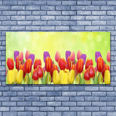 Canvas doek foto Tulpen bloemen plant