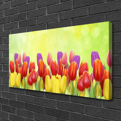 Canvas doek foto Tulpen bloemen plant