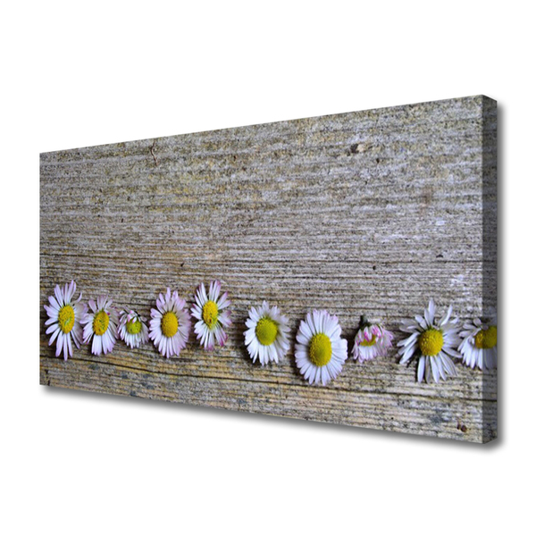 Canvas doek foto Daisy plant nature