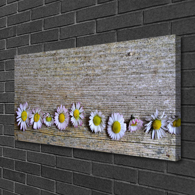 Canvas doek foto Daisy plant nature