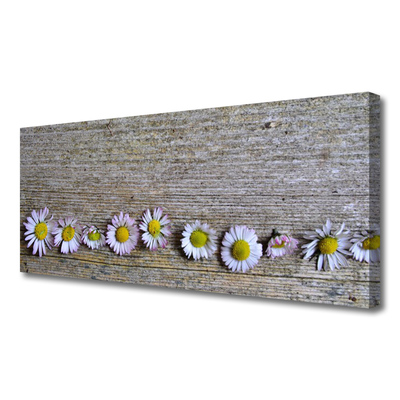 Canvas doek foto Daisy plant nature