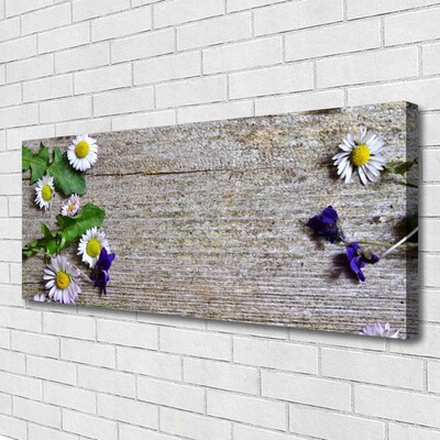 Canvas doek foto Daisy plant nature