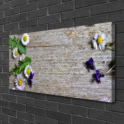 Canvas doek foto Daisy plant nature