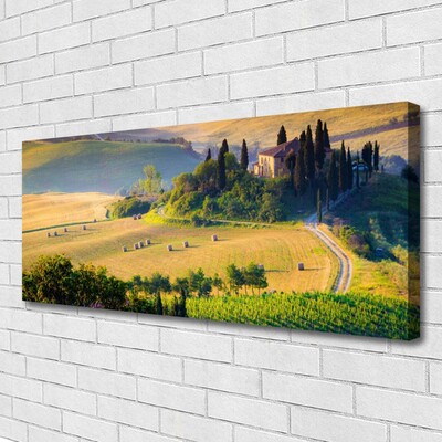 Canvas doek foto Veld landschap bomen