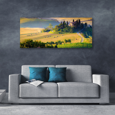 Canvas doek foto Veld landschap bomen