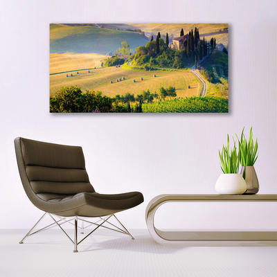 Canvas doek foto Veld landschap bomen