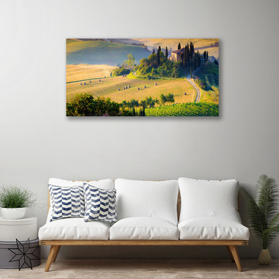 Canvas doek foto Veld landschap bomen