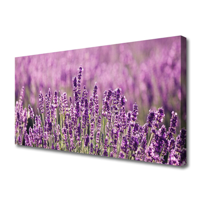 Canvas doek foto Bloemen plant nature