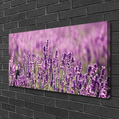 Canvas doek foto Bloemen plant nature