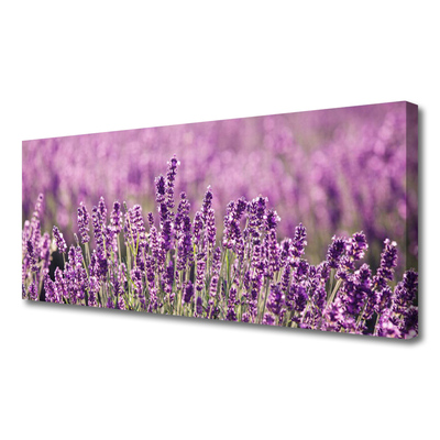 Canvas doek foto Bloemen plant nature