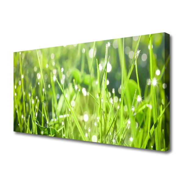 Canvas doek foto Grass nature plant