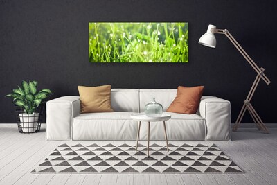 Canvas doek foto Grass nature plant