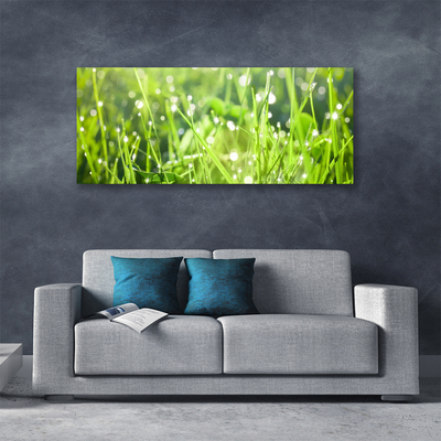 Canvas doek foto Grass nature plant