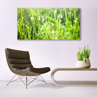 Canvas doek foto Grass nature plant