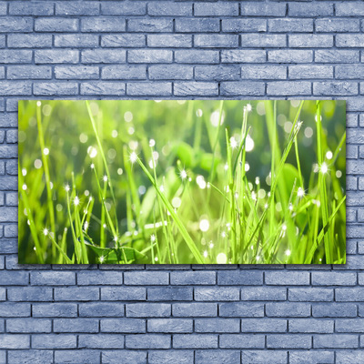 Canvas doek foto Grass nature plant