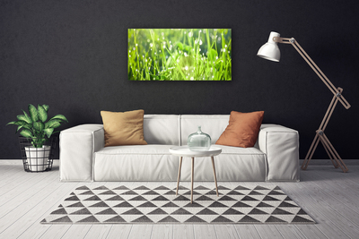 Canvas doek foto Grass nature plant