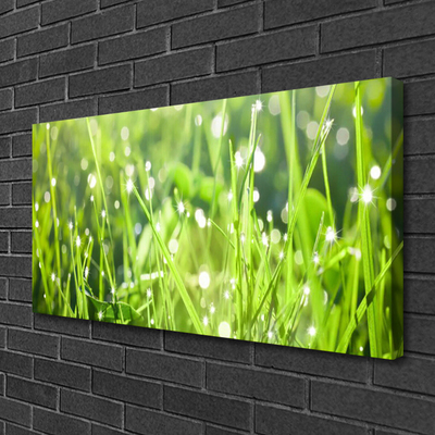 Canvas doek foto Grass nature plant