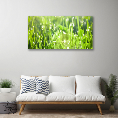 Canvas doek foto Grass nature plant