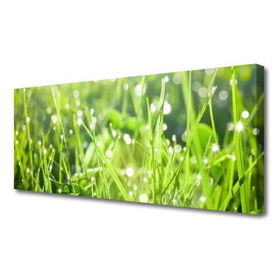 Canvas doek foto Grass nature plant