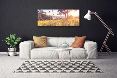 Canvas doek foto Grass tree weide natuur