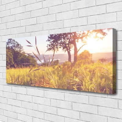 Canvas doek foto Grass tree weide natuur