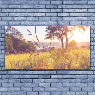 Canvas doek foto Grass tree weide natuur