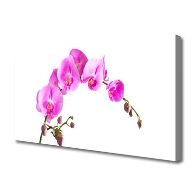 Canvas doek foto Bloemen plant nature