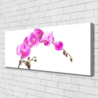 Canvas doek foto Bloemen plant nature