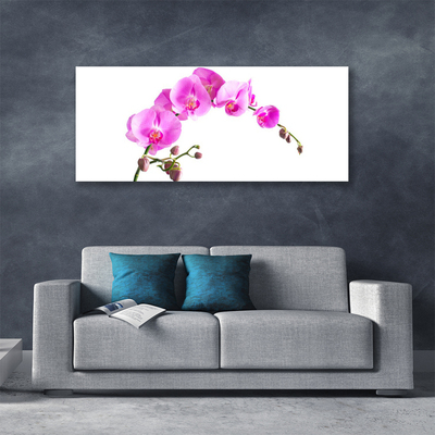 Canvas doek foto Bloemen plant nature