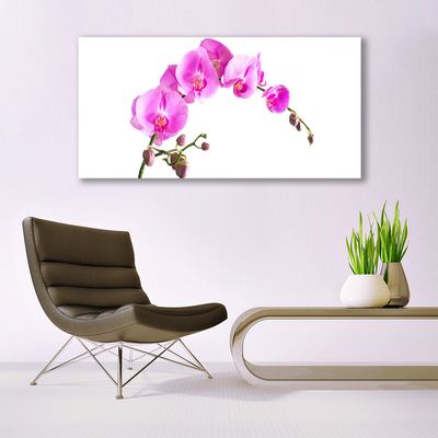 Canvas doek foto Bloemen plant nature