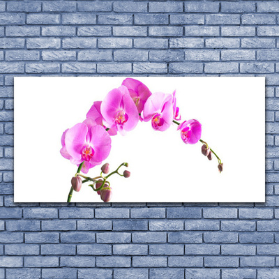 Canvas doek foto Bloemen plant nature