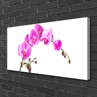 Canvas doek foto Bloemen plant nature