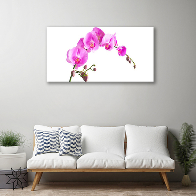 Canvas doek foto Bloemen plant nature