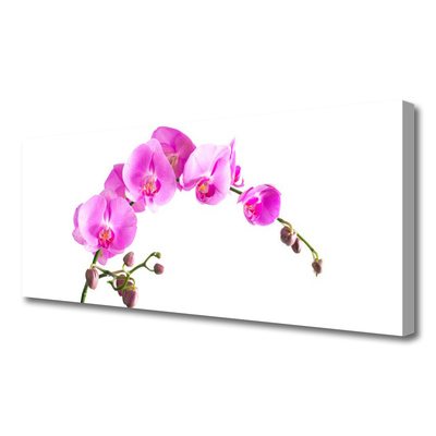 Canvas doek foto Bloemen plant nature