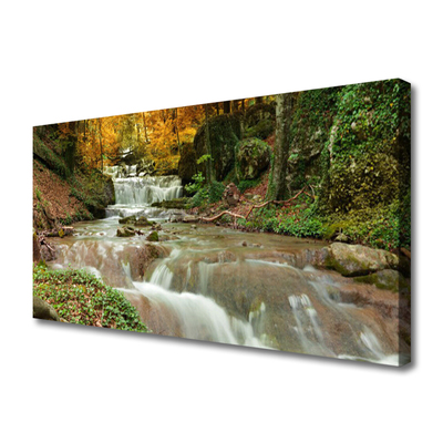 Canvas doek foto Boswaterval nature