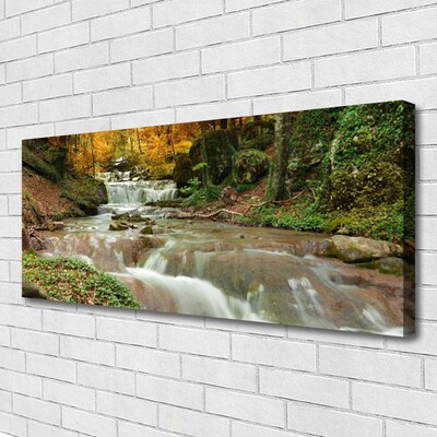 Canvas doek foto Boswaterval nature