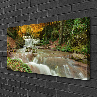 Canvas doek foto Boswaterval nature