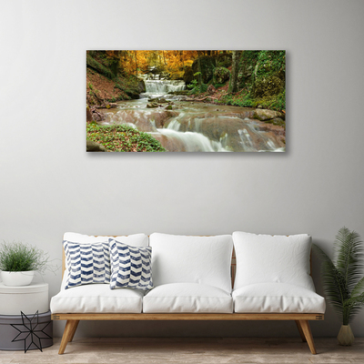 Canvas doek foto Boswaterval nature