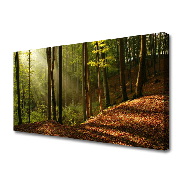 Canvas doek foto Bosbomen nature