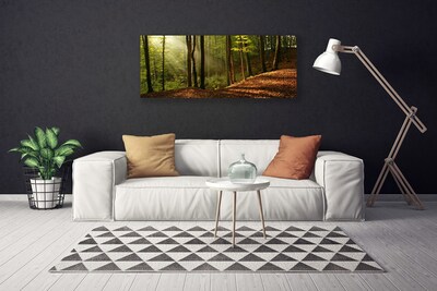 Canvas doek foto Bosbomen nature