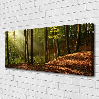 Canvas doek foto Bosbomen nature