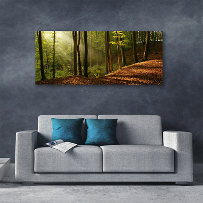 Canvas doek foto Bosbomen nature